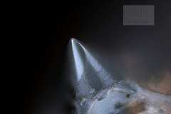 Fidelity-Research-FR-1MK3F__1200